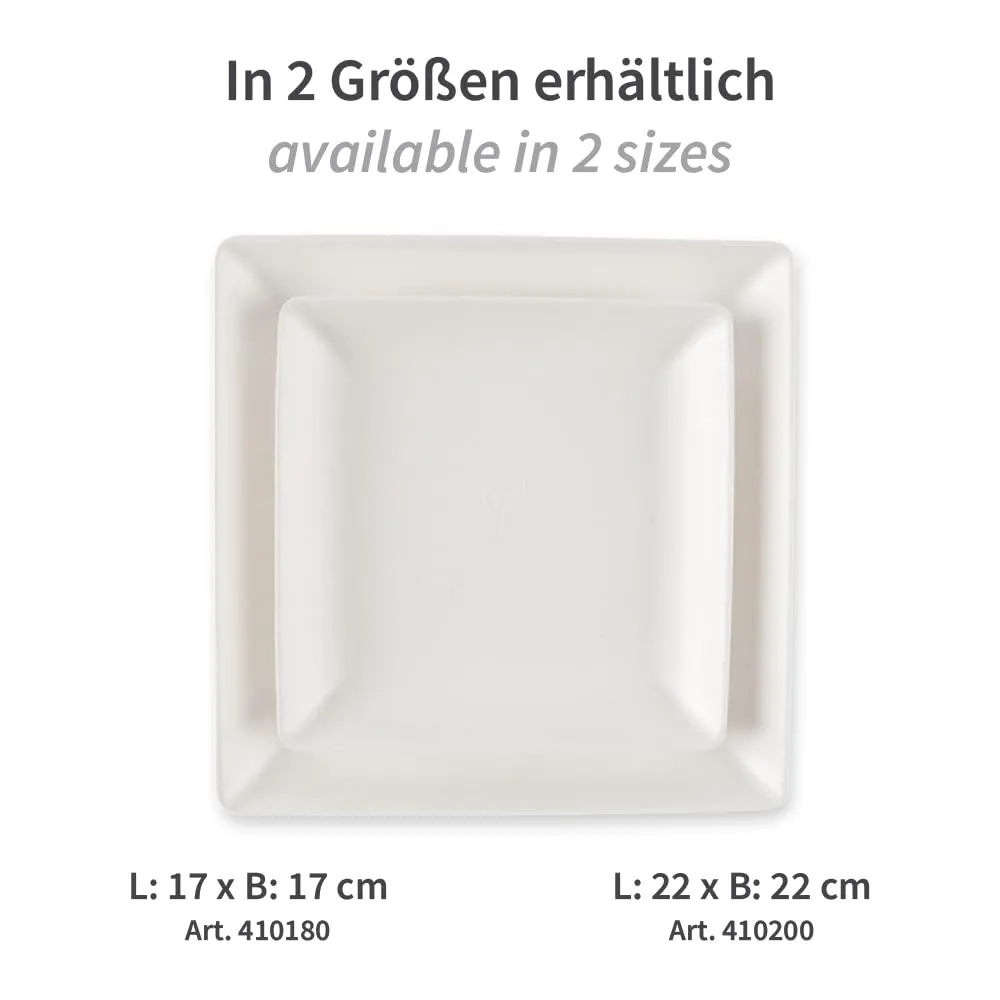 NatureStar Eleganza Teller quadratisch 22cm 500er Zuckerrohr