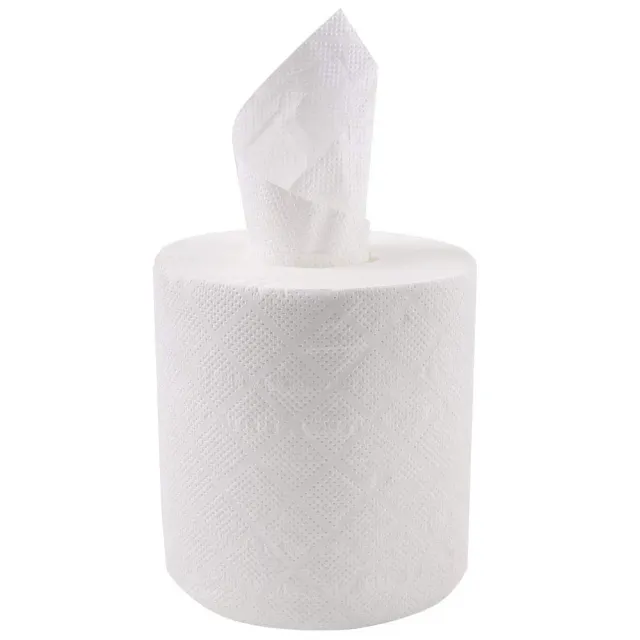 Franz Mensch Hygoclean Papierhandtuchrollen 2-lagig 6 Rollen Zellulose