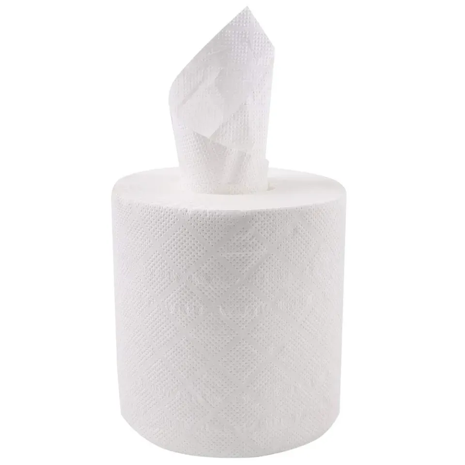 Franz Mensch Hygoclean Papierhandtuchrollen 2-lagig 6 Rollen Zellulose