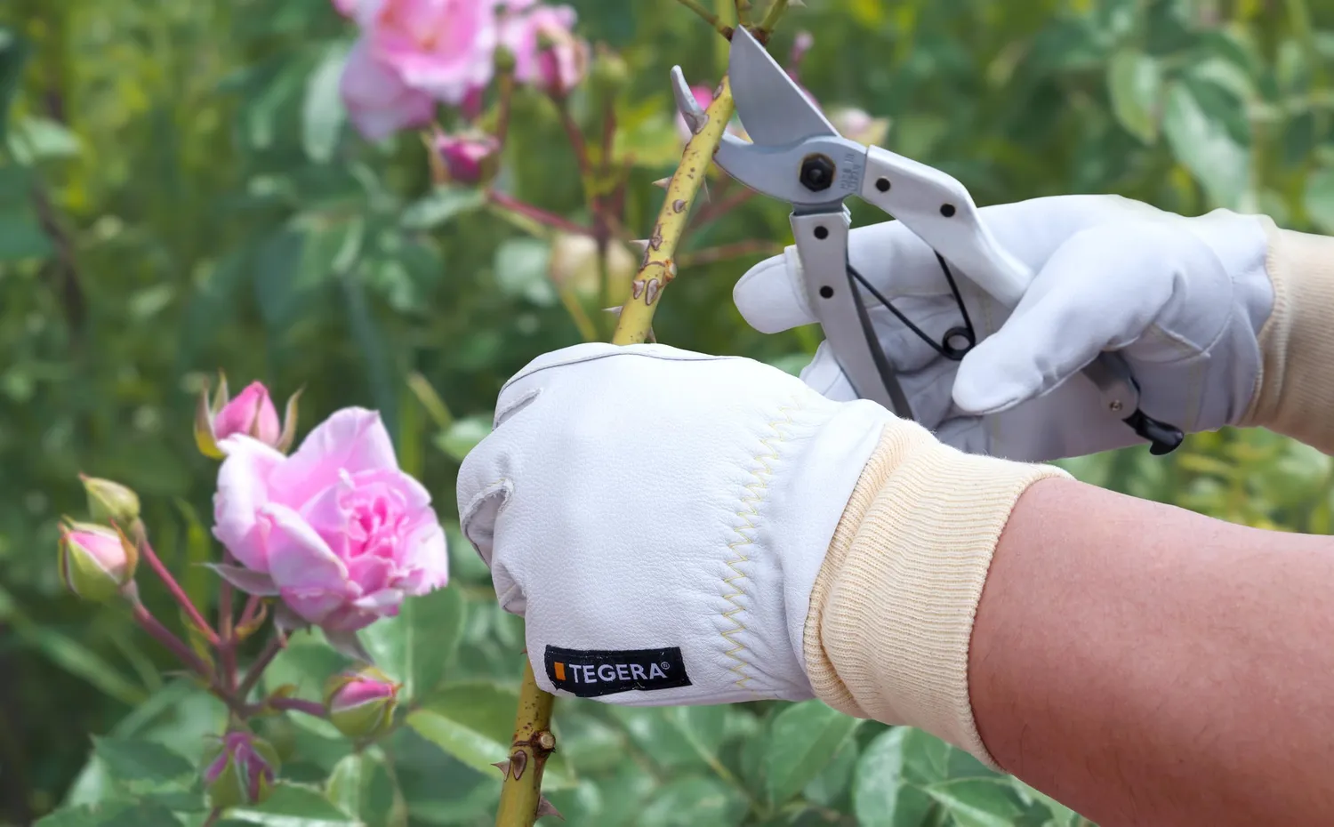 TEGERA 88700 Gartenhandschuhe Leder Größe 7 dornenfest