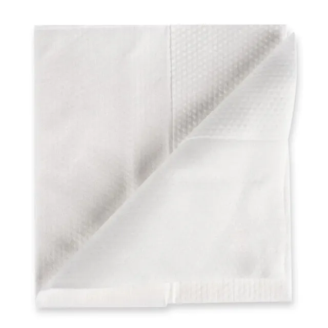 Franz Mensch Hygoclean Reinigungstuch Spunlace 32x36 600St