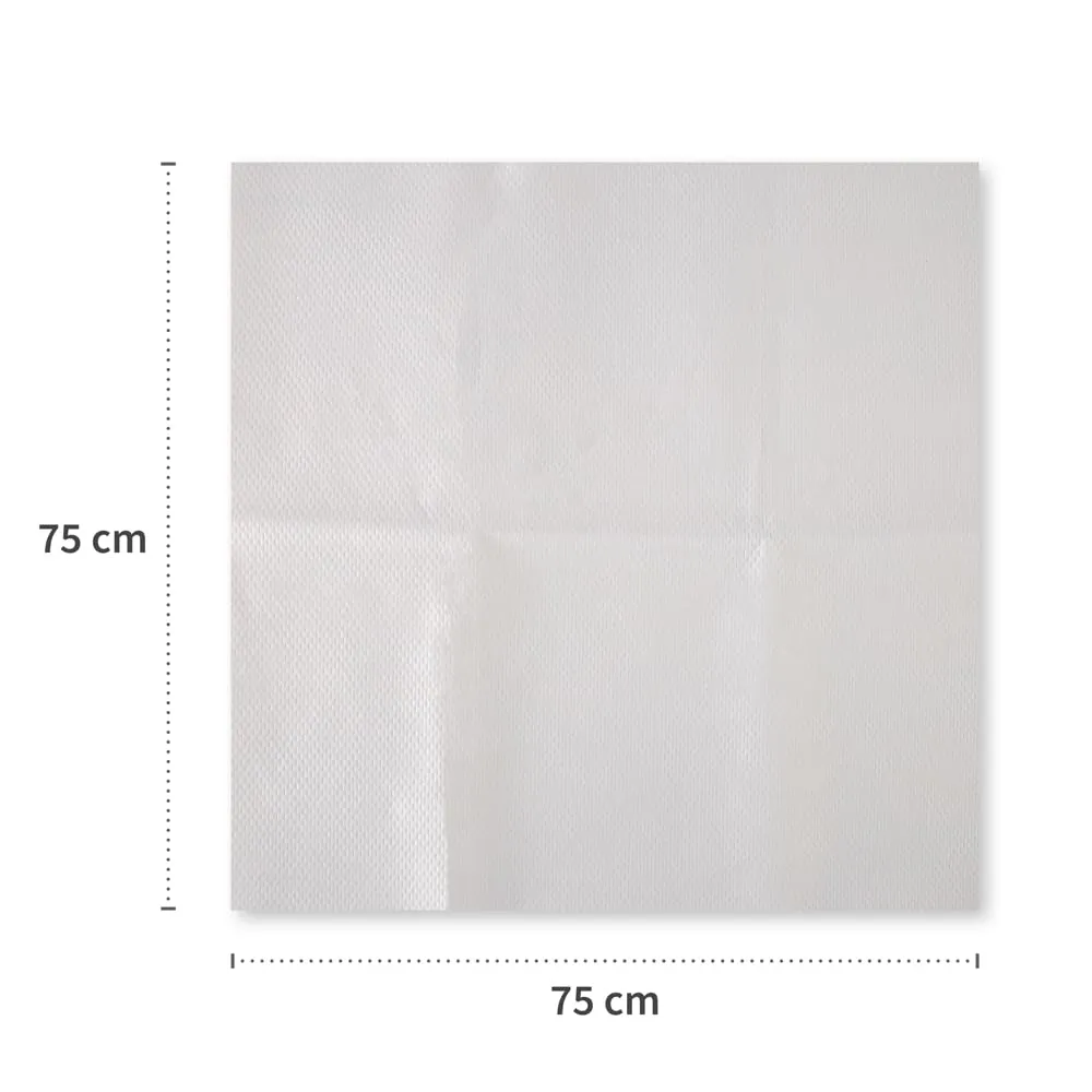 Franz Mensch Hygostar Passiertücher Filterstar 75x75cm 100 St weiß