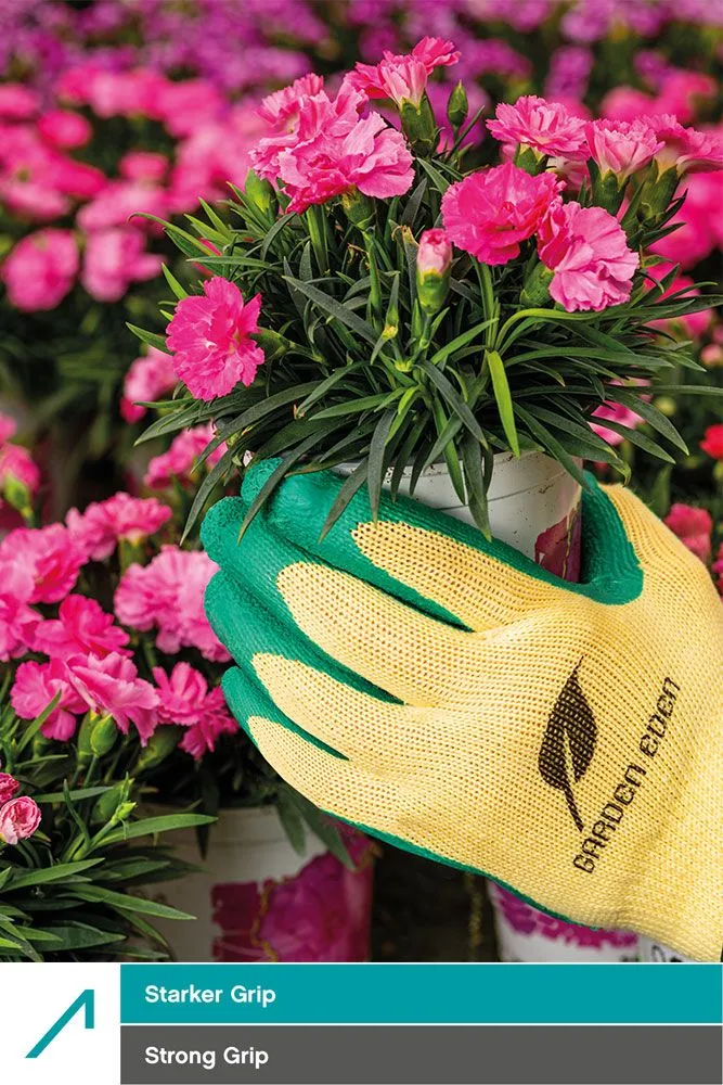 ACE Garden Eden Gartenhandschuhe Latex 3 Paar 09-L