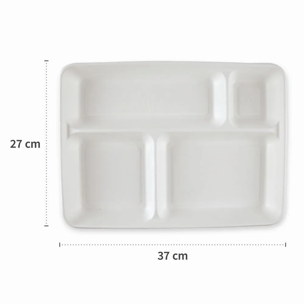 NatureStar Menütabletts 4-geteilt 37cm 160 Stück Zuckerrohr