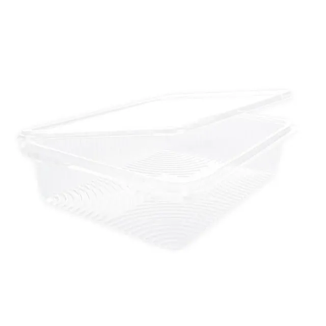 Franz Mensch NatureStar Salatschale 1500ml 250 Stück mit Deckel