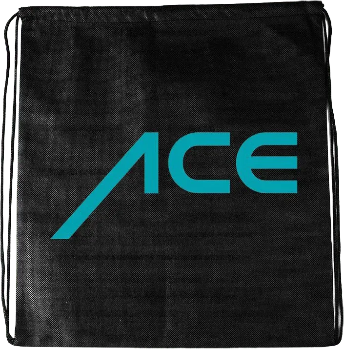 ACE Schuhbeutel für Arbeitsschuhe Schwarz robust