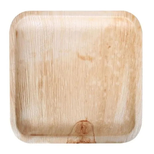 NatureStar Palmblatt Teller 100 Stück 18x18 cm quadratisch natur