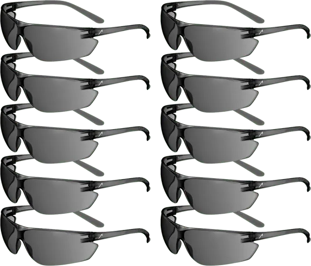ACE FL-15G Schutzbrille 10 Stück klar Antibeschlag