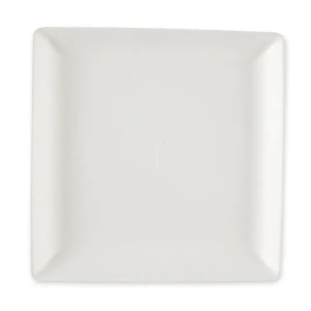 NatureStar Eleganza Teller quadratisch 22cm 500er Zuckerrohr