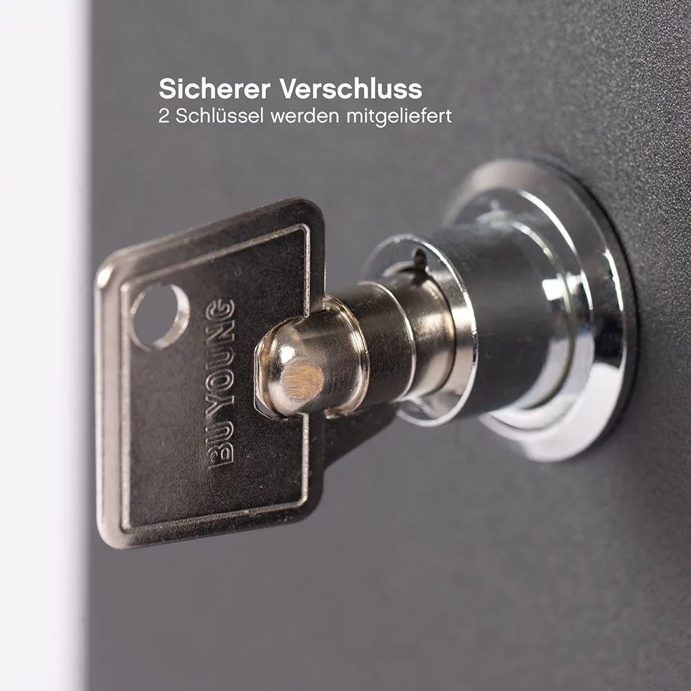 ACE Public Alkoholtester mit Video-Rahmen Münzbetrieb elektrochemisch