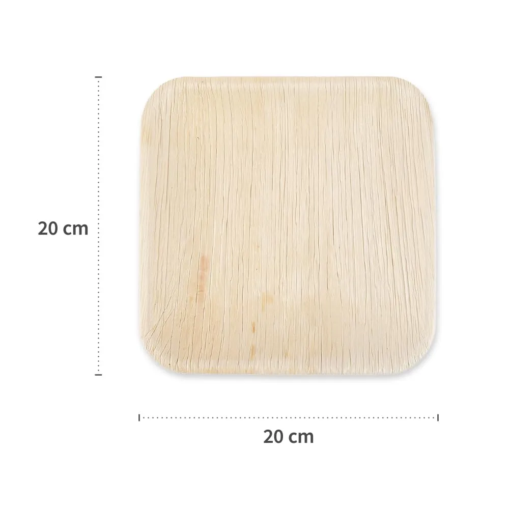 NatureStar Teller quadratisch Palmblatt 20x20 cm 100 Stück fettabweisend