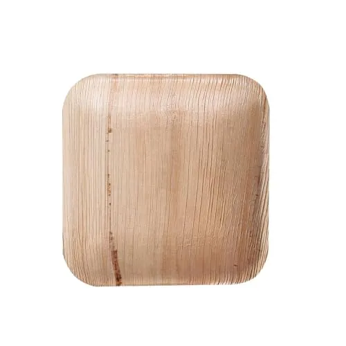 NatureStar Palmblatt Teller 100 Stück 18x18 cm quadratisch natur