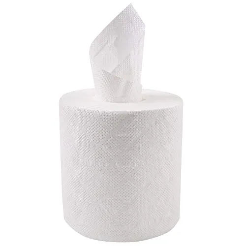 Franz Mensch Hygoclean Papierhandtuchrollen 2-lagig 6 Rollen Zellulose