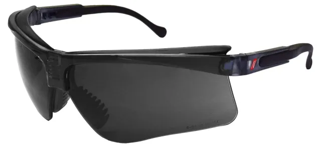 Nitras Vision Protect Premium Schutzbrille transparent
