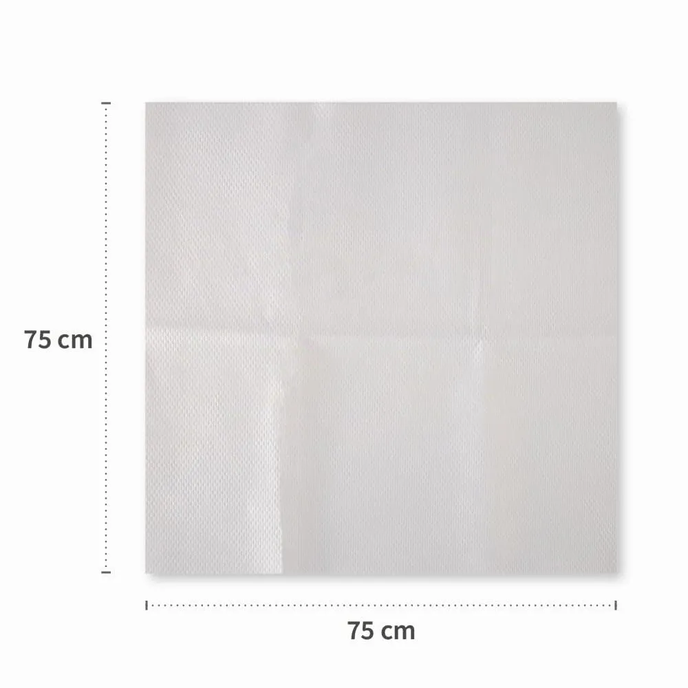 Franz Mensch Hygostar Filterstar Passiertücher 10er XL weiß