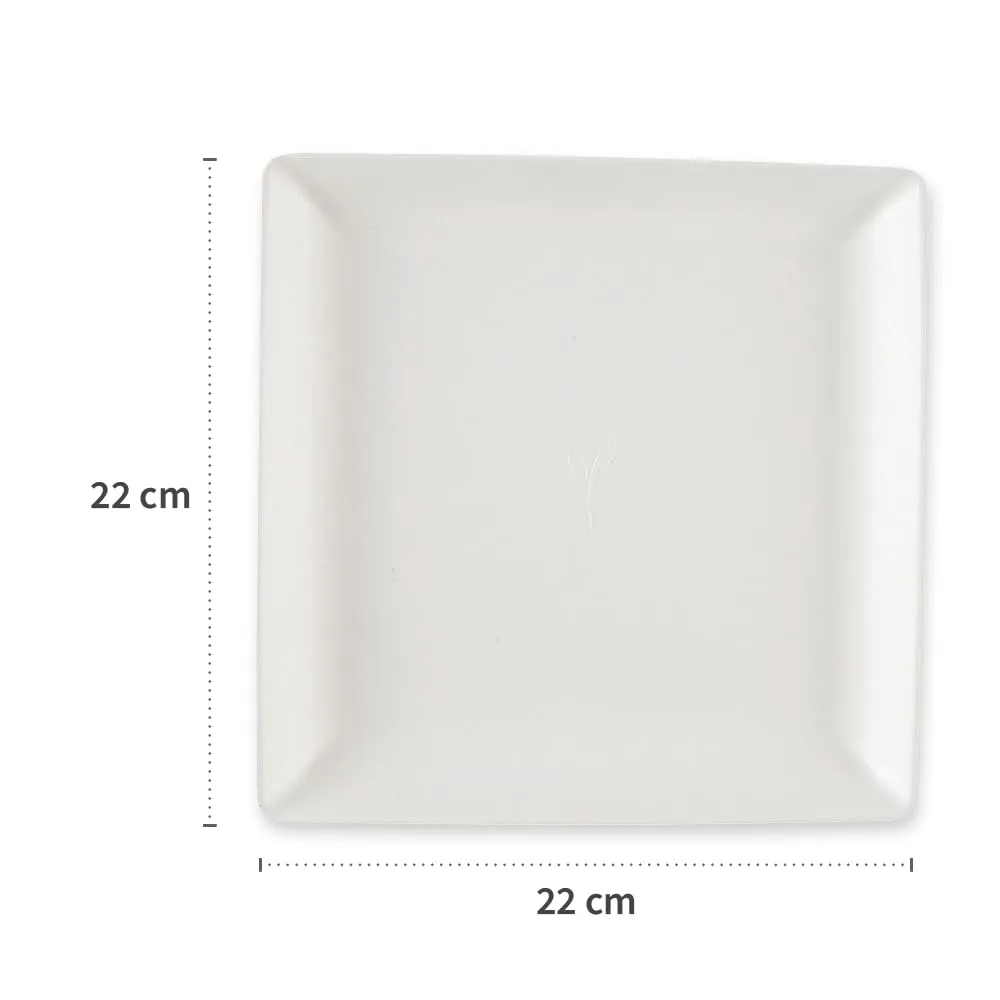 NatureStar Eleganza Teller quadratisch 22cm 500er Zuckerrohr