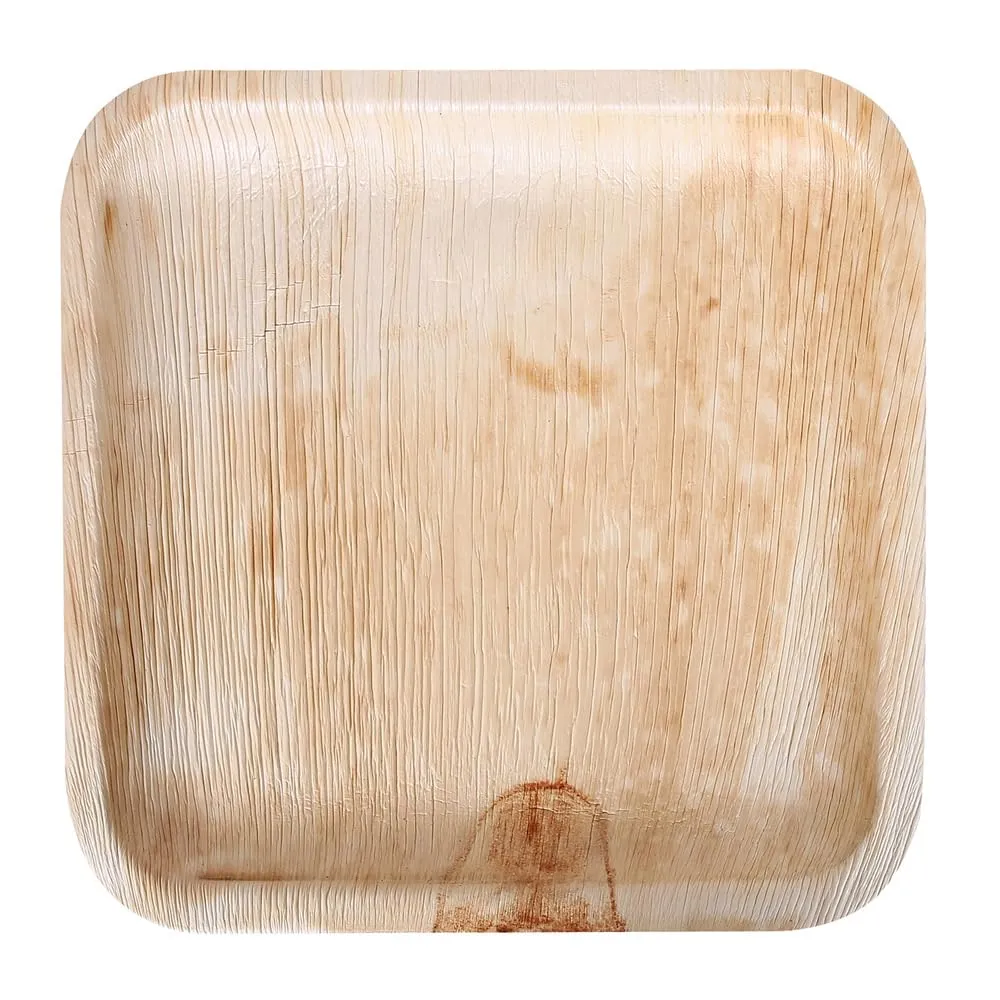 NatureStar Palmblatt Teller 100 Stück 18x18 cm quadratisch natur