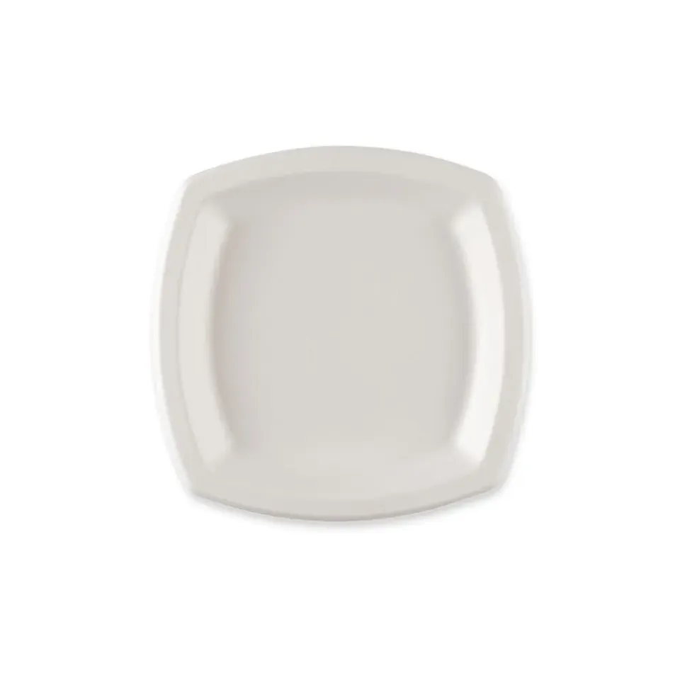 NatureStar Teller Einweg 17x17cm 1000 Stück Zuckerrohr