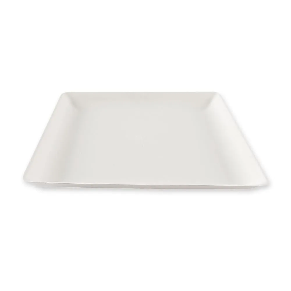NatureStar Eleganza Teller quadratisch 22cm 500er Zuckerrohr