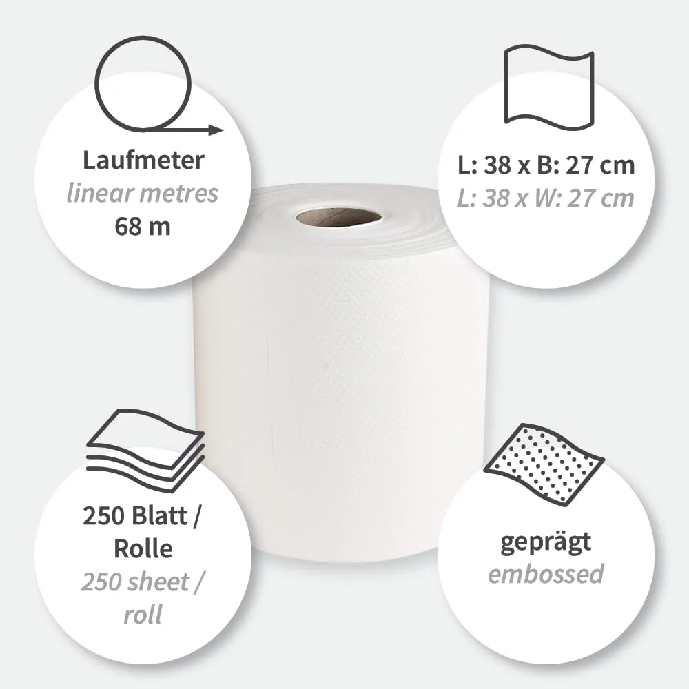 Franz Mensch Hygoclean Wischtücher Premium Airlaid Rolle 250St